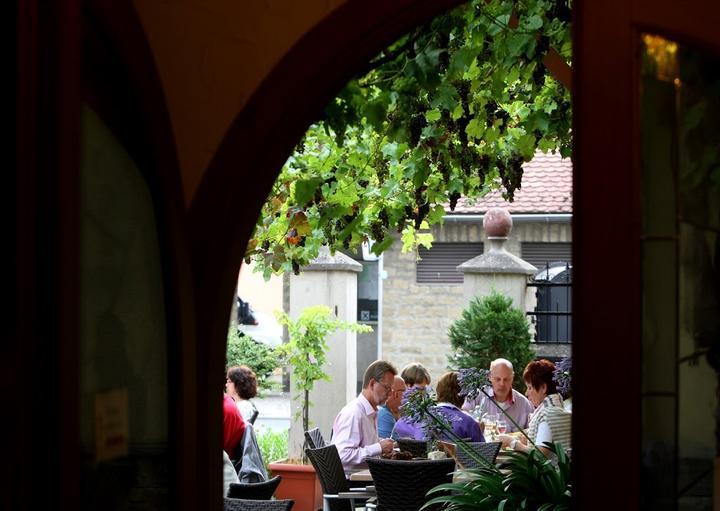 Brauner Bar und weiße Taube